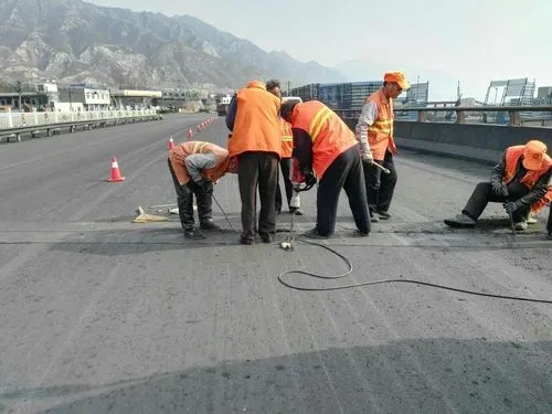 昭平道路桥梁病害治理